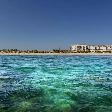 Thalassa Beach One Bedroom With Sea View شقة